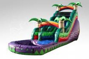 Bean-and-KK-moonwalks-Tropical-passion