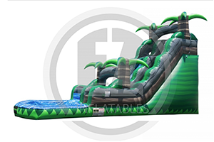 bean-kk-moonwalks-springhill-waterslide-Congo-rain-forest